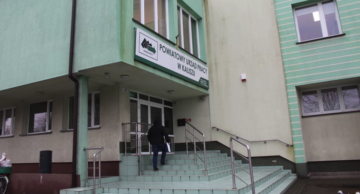 Najnowsze oferty pracy z PUP