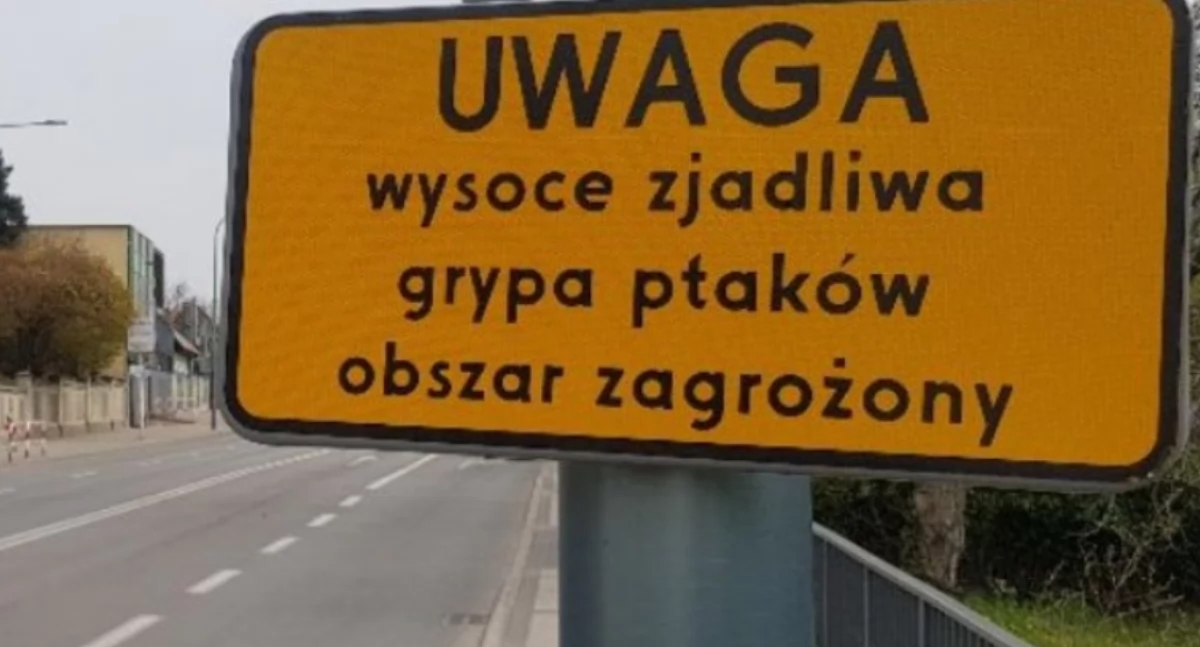 Uwaga - ptasia grypa