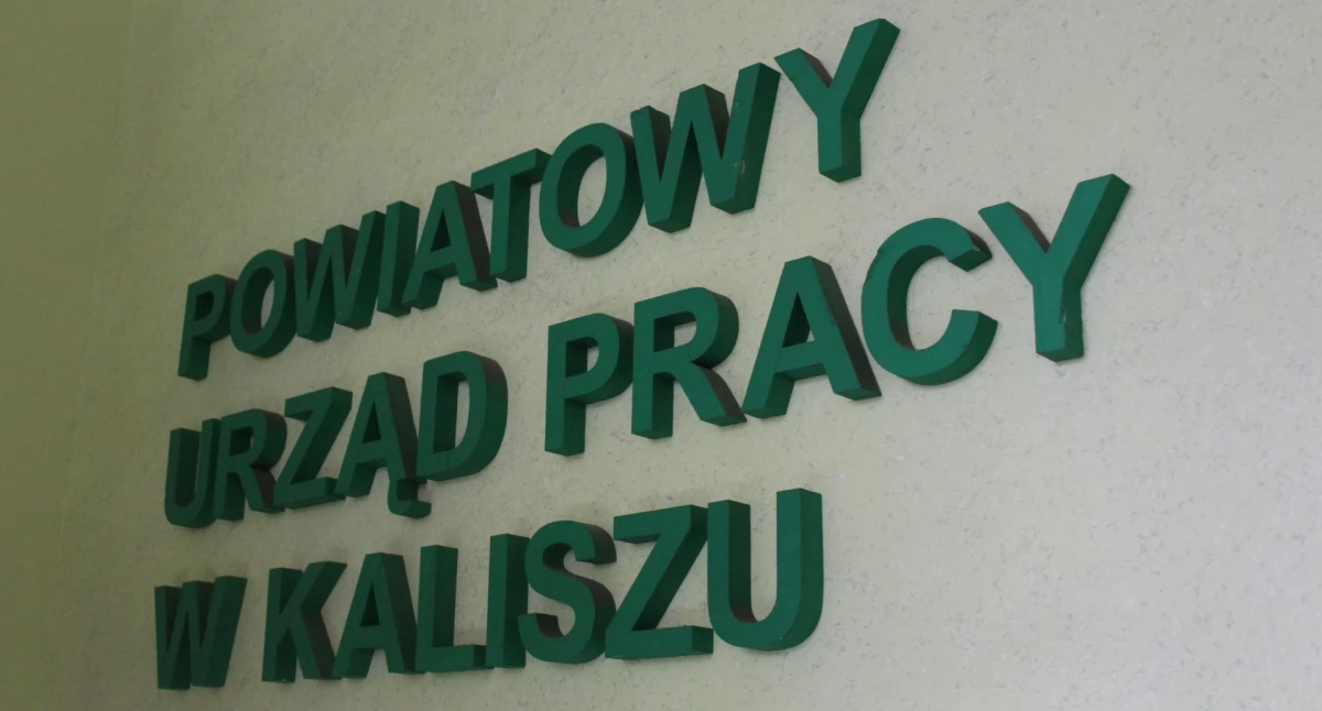 Najnowsze oferty pracy z PUP w Kaliszu