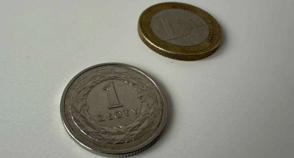 Co Polacy sądzą o wprowadzeniu euro?