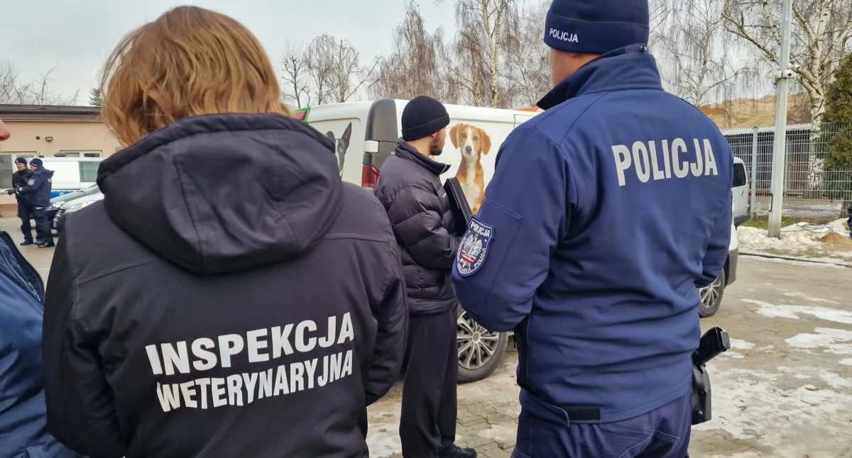 Policja wkroczyła do kaliskiego schroniska dla zwierząt