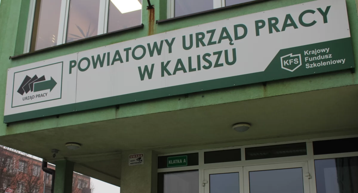 Najnowsze oferty pracy w PUP