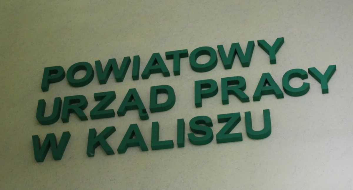 Najnowsze oferty pracy z PUP