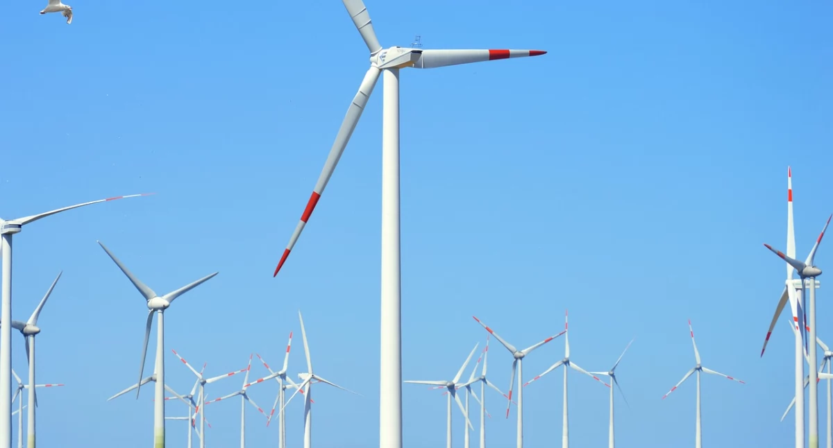 Koniec klimatycznego szwindlu?