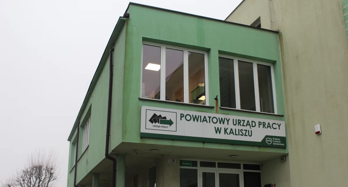 Najnowsze oferty pracy z PUP
