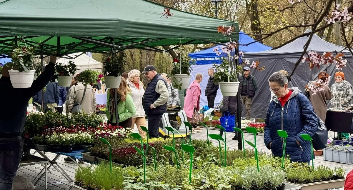 Targ na plantach już wkrótce