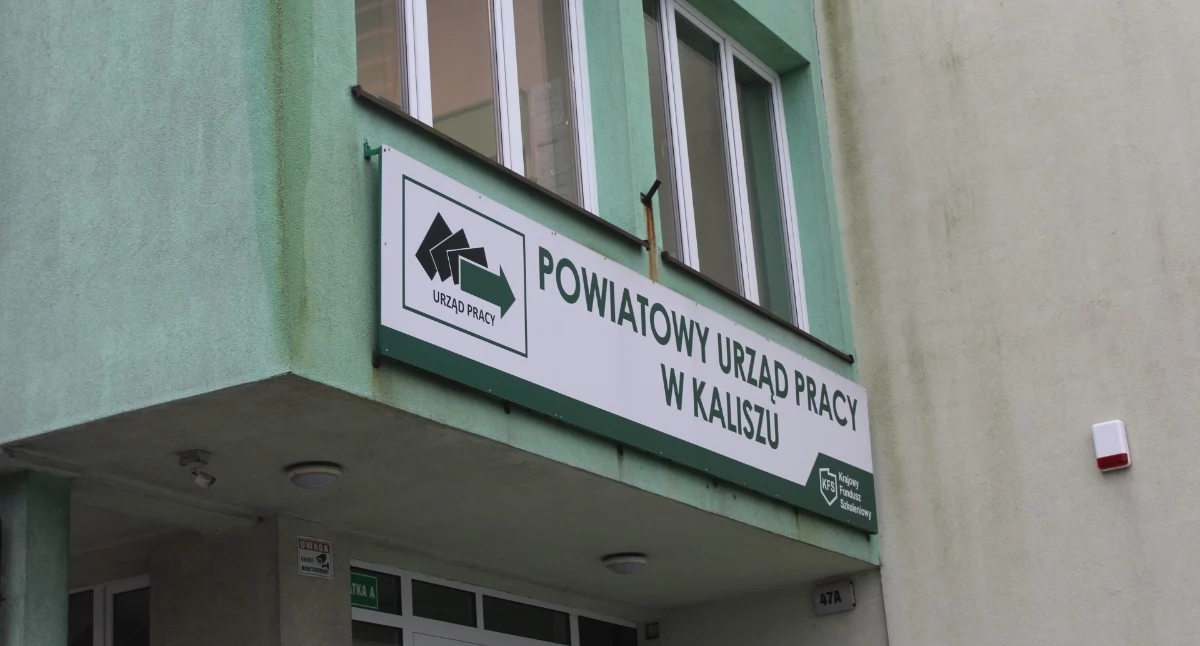 Najnowsze oferty pracy z PUP w Kaliszu