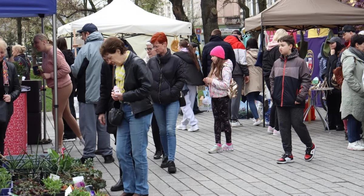 Targ na plantach już w sobotę