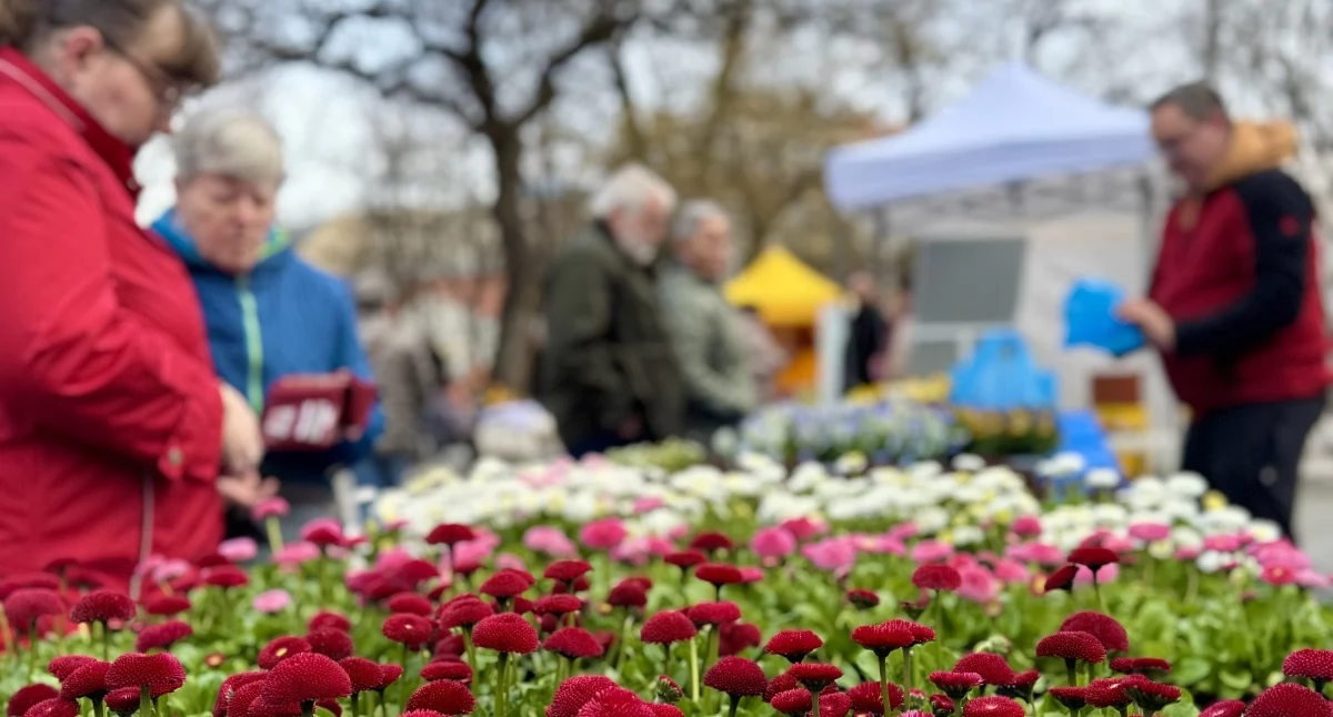 Targ na Plantach za nami