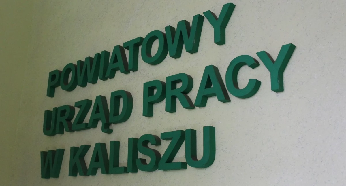 Najnowsze oferty pracy z PUP w Kaliszu