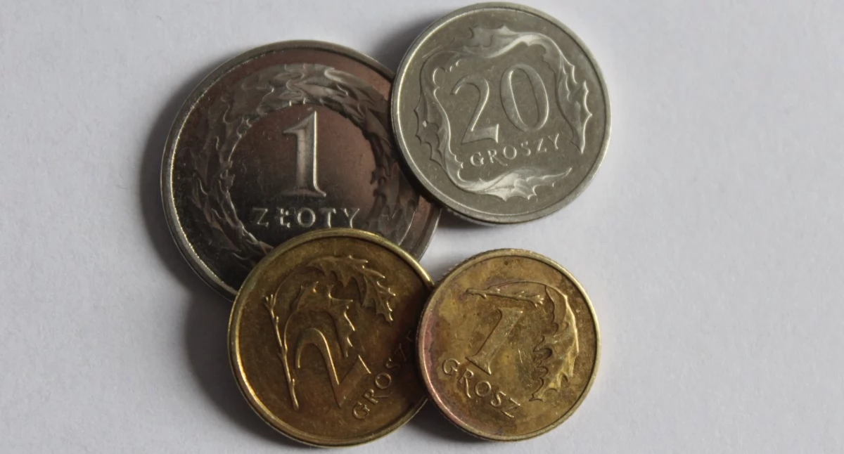 Zajączkowska: Brońmy gotówki i złotego!