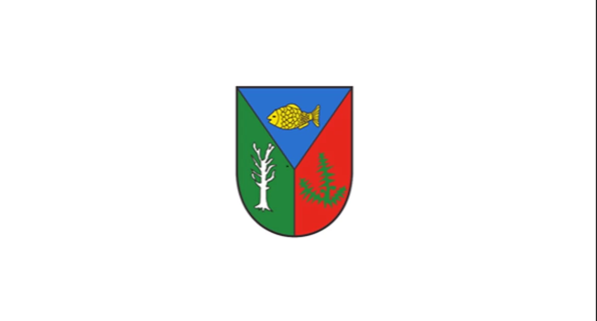 Ogłoszenie o rozpoczęciu konsultacji społecznych dotyczących projektu Planu ogólnego gminy Brzeziny