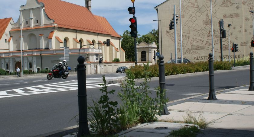 Chwasty w centrum Kalisza