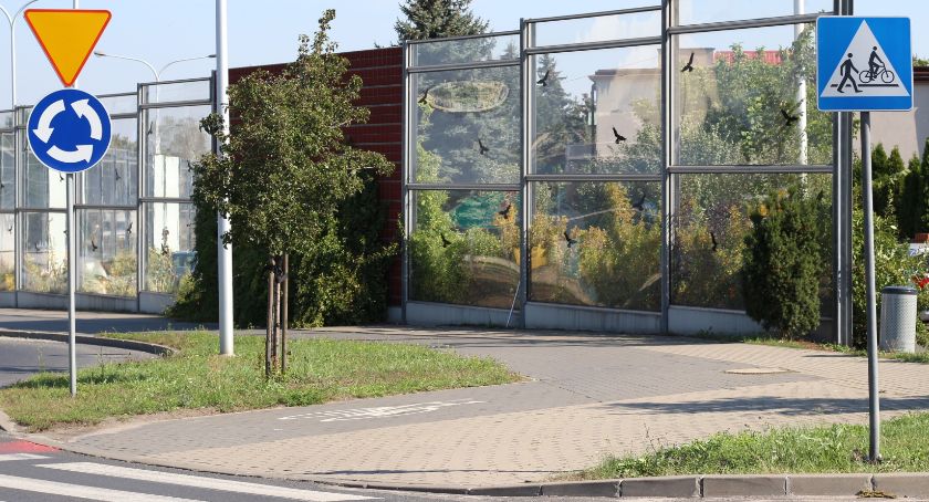 Przejścia dla pieszych pod lupą policji 