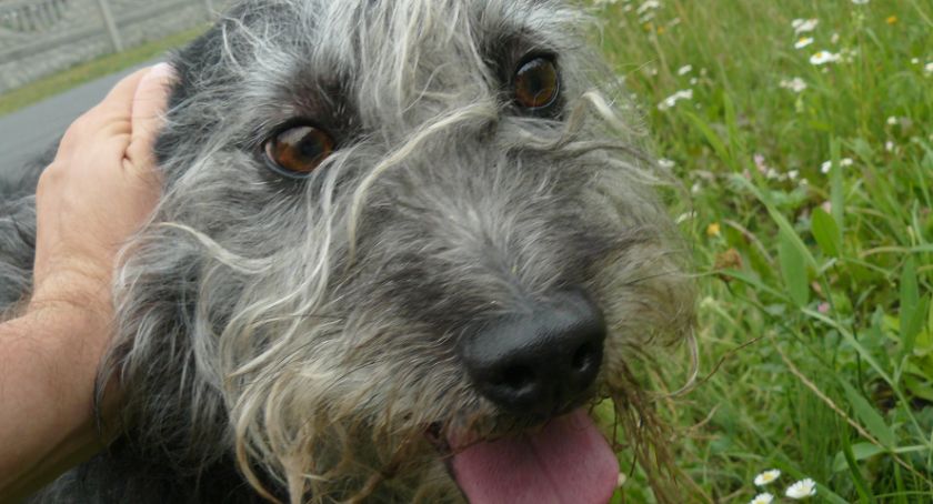 Filemon