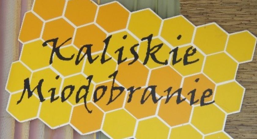 X Kaliskie Miodobranie - ucz się i kosztuj 
