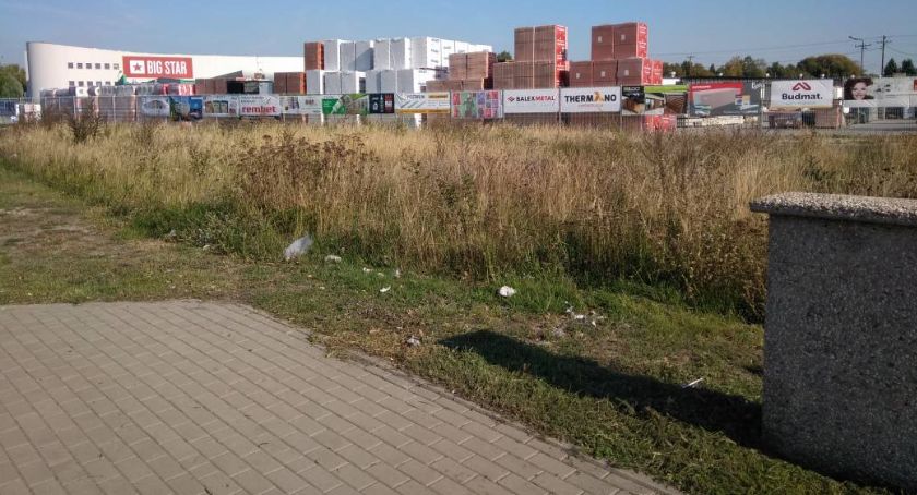 Zielony Kalisz, ale nie taki