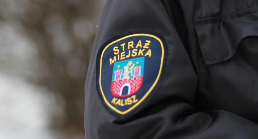 Czy strażnicy miejscy reagują na wskazania monitoringu?