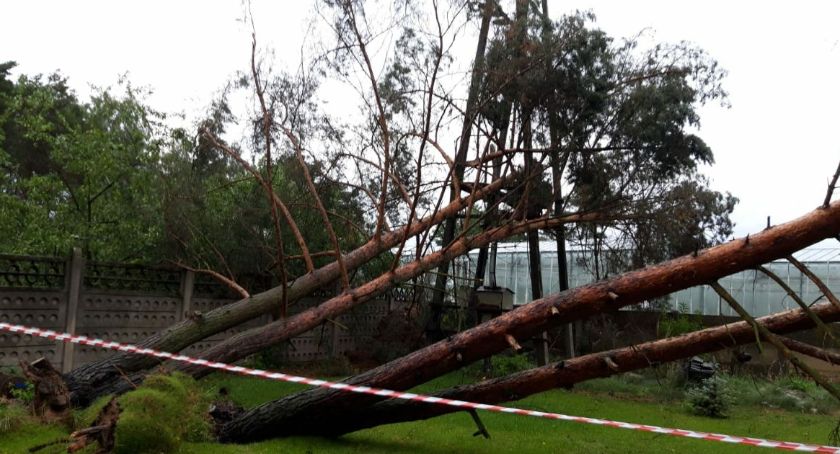 Powalone  drzewa,  uszkodzone  budynki i pozrywane dachy