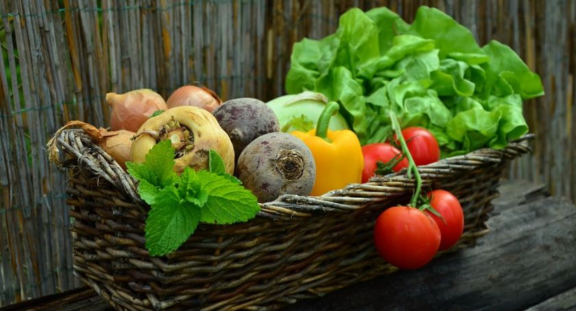 Jak uniknąć trucia ludzi nawozami. Spotkanie producentów warzyw w Pałacu Tłokinia