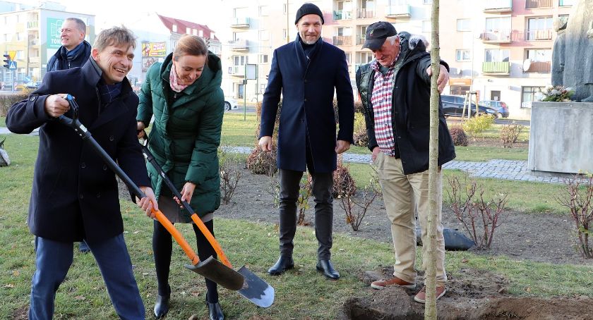 Drzewa dla miasta 