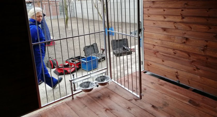 Nowe boksy w kaliskim schronisku