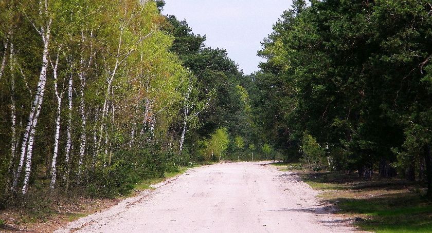 Od poniedziałku do lasu i to nawet na rowerze