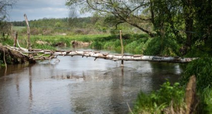 Dolina Swędrni  – przyrodniczy skarb