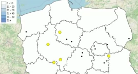 Policyjna mapa śmiertelnych wypadków wróciła na waka&hellip;