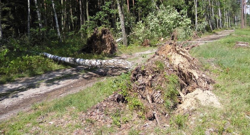 Zalania i powalone drzewa. Takie są skutki wczorajszych warunków atmosferycznych