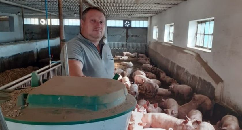 Ządziukowie hodują duńskie świnie i zboża. Warchlaki chowane są około trzy miesiące