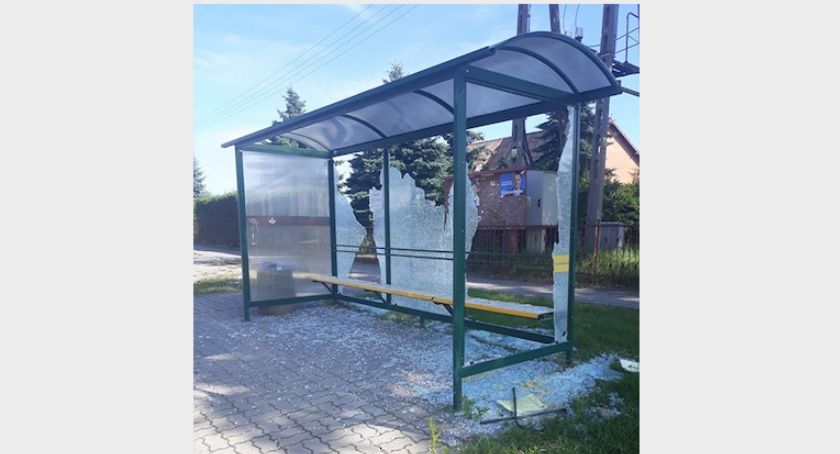 Kto zniszczył wiatę autobusową? Jest nagroda za ujawnienie sprawcy