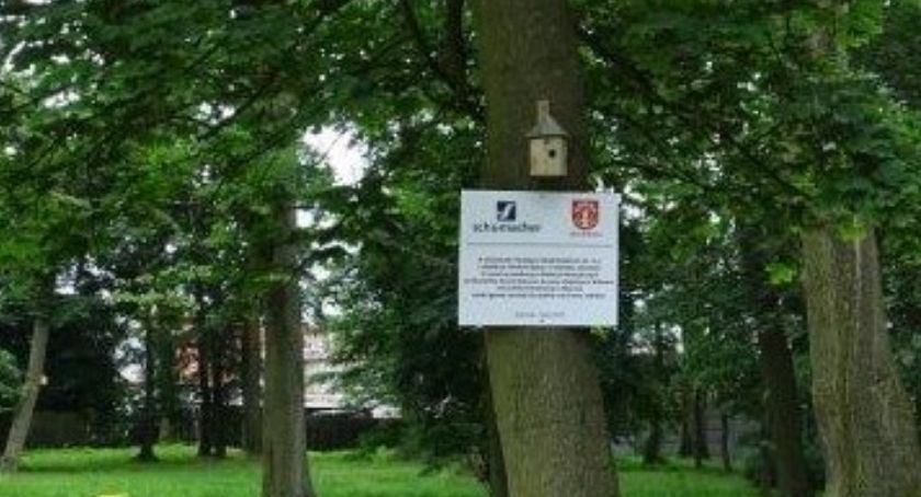 W parku w Bukowcu i przy szkole w Różannie pojawiły się domki lęgowe i karmniki dla ptaków