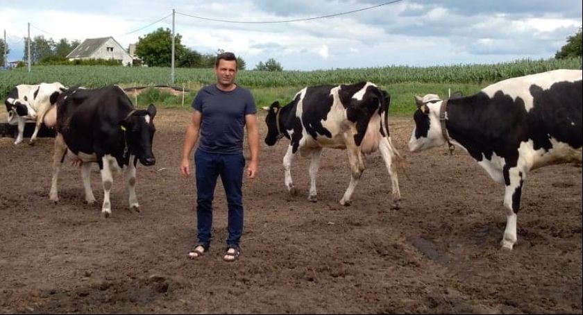 U Gęsickich zboża i kukurydza obrodziły. Plony są większe o blisko 40 proc.