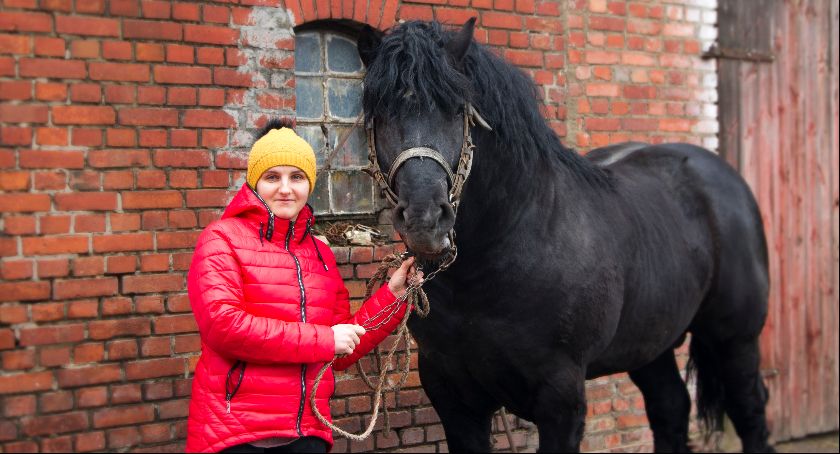 Rodzina Piotrowskich hoduje polskie konie zimnokrwiste. Wśród nich jest wyjątkowy ogier