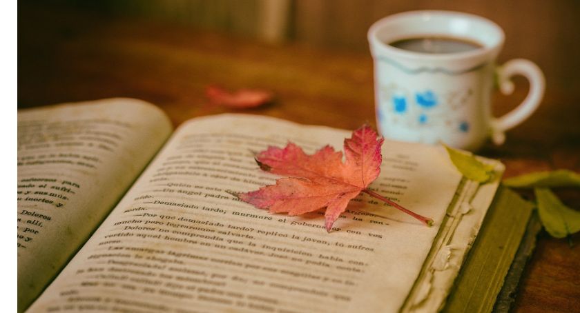 Biblioteka miejska w Świeciu planuje inwentaryzację. Siedziba główna będzie zamknięta