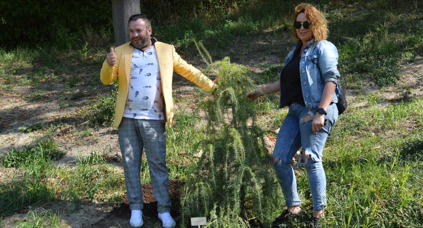 Park przy Miejskiej Bibliotece Publicznej w Świeciu został zasadzony. Zobaczcie niecodzienne okazy [ZDJĘCIA]