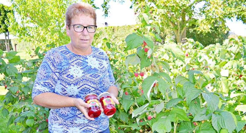 Maliny Arlety Bizoń rozsławiły mały Parlin. W sezonie przerabia do 100 kg owoców