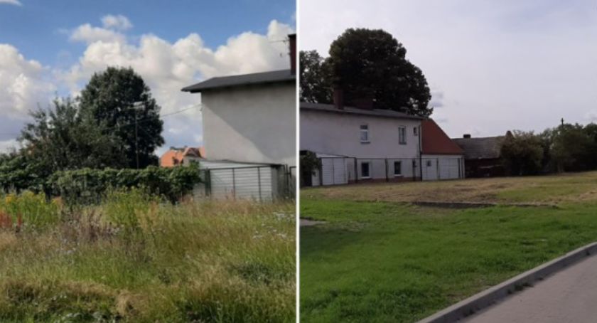 Chwasty przy Biedronce już zostały skoszone