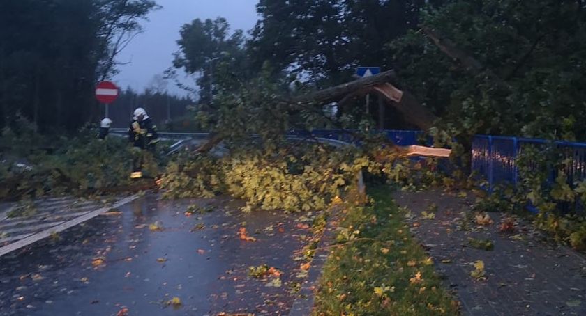 Wichura w powiecie świeckim. Strażacy wyjeżdżali ponad 70 razy
