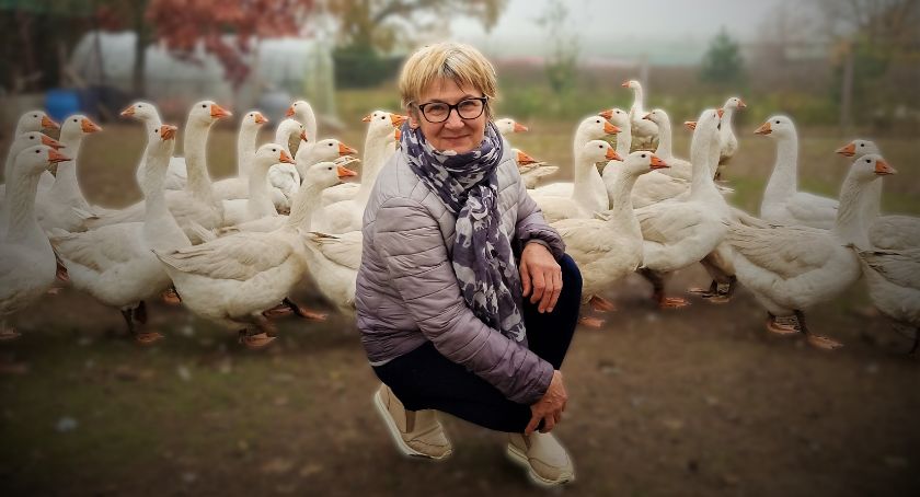 Gęsina z Mirowic jest wyjątkowa. Zobaczcie jakie wyroby przygotowują państwo Bańka