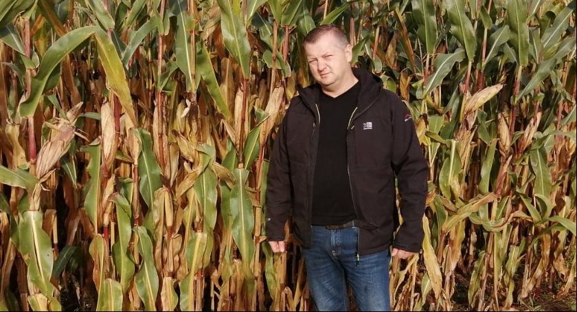 Kukurydza i zboża miło zaskoczyły w tym roku. Grzegorz Kądziela uprawia ponad 80 hektarów