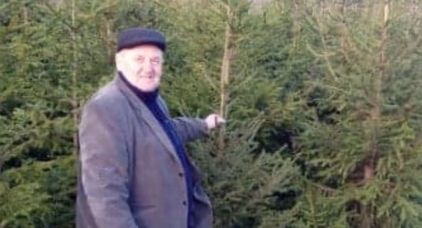 Plantacja choinek w Parlinie liczy około 8,5 tys. drzewek. Jan Myka opowiedział nam o swojej pracy