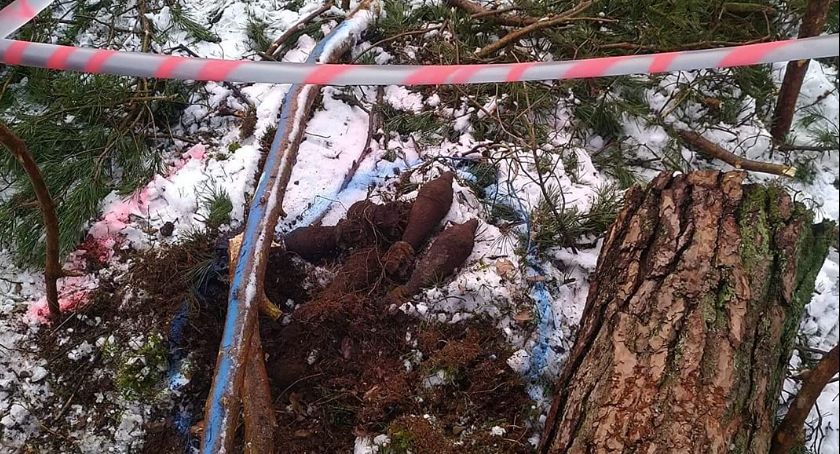 Znaleziono niewybuchy w Taszewie w Nadleśnictwie Dąbrowa. Na miejscu już byli saperzy - AKTUALIZACJA [ZDJĘCIA]