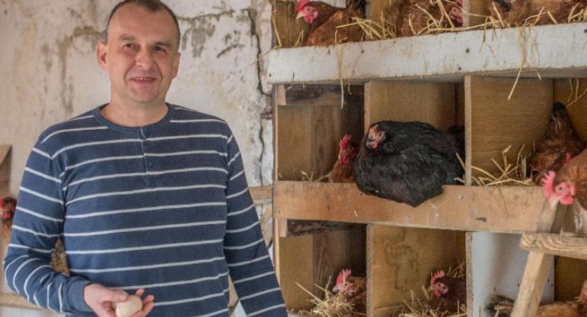 Ptasia grypa jest coraz bliżej powiatu świeckiego. Co sądzą o tym lokalni hodowcy drobiu?