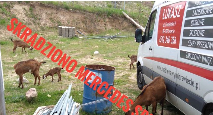 Kto widział mercedesa sprintera? Wczoraj zniknął sprzed domu mieszkańcowi Świecia