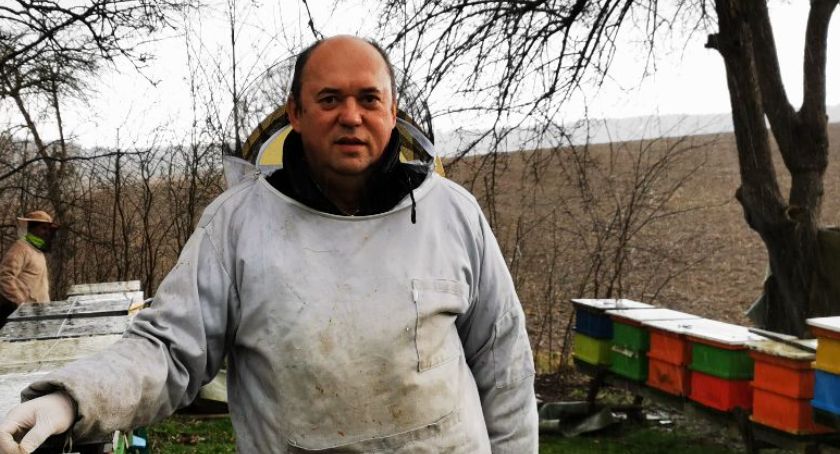 Miodu jest coraz mniej. Trudny czas dla pszczelarzy