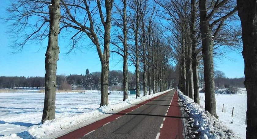 Jeździć rowerami, jak Holendrzy - czy to u nas możliwe? Taki pomysł ma mieszkaniec gminy Jeżewo