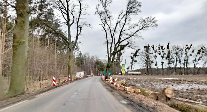 W Laskowicach ruszyły prace przy wycince 197 drzew. Remont przejdzie droga do Krąplewic