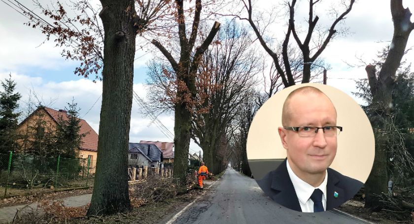 Petycję w sprawie alei w Laskowicach popiera wójt Rakowicz. Trwa zbiórka podpisów [TREŚĆ PETYCJI]